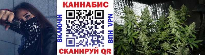 Шишки марихуана Bruce Banner Великие Луки